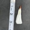 Buffalo Tooth Pendant - Image 3